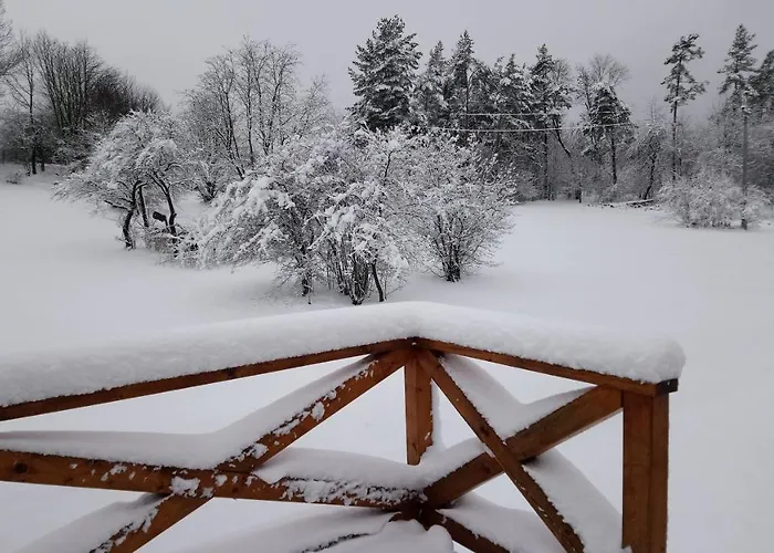 Apartman Forest Romantic Brdy Věšín